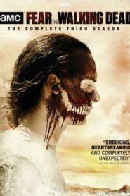 Бойтесь ходячих мертвецов 3 сезон смотреть онлайн